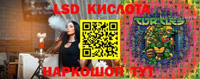прущие грибы Баксан