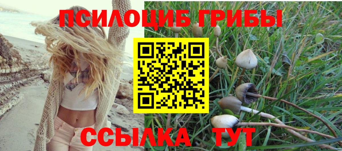 Галлюциногенные грибы Magic Shrooms Губкинский
